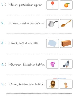 Ağırlık Kavramı