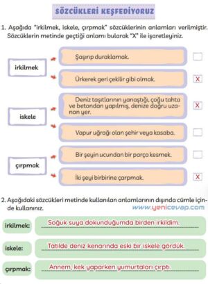 3. Sınıf Türkçe Kitabı Sayfa 180 182 183 Cevapları Meb