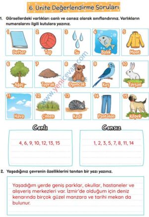 3. Sınıf Fen Bilimleri Kitabı Sayfa 184 185 186 187 Cevapları Meb