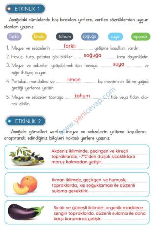 3. Sınıf Hayat Bilgisi Kitabı Sayfa 190 192 193 195 Cevapları Meb