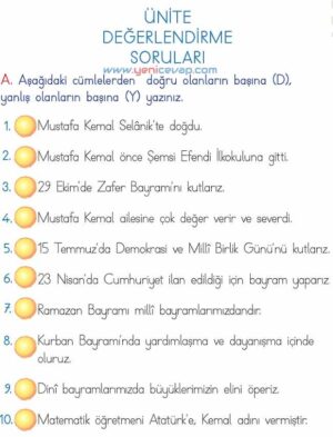 2. Sınıf Hayat Bilgisi Kitabı Sayfa 204 205 206 207 Cevapları Meb
