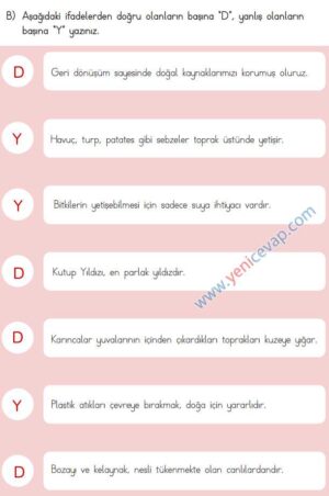 3. Sınıf Hayat Bilgisi Kitabı Sayfa 203 204 205 206 Cevapları Meb