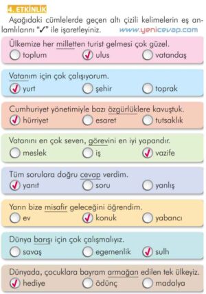2. Sınıf Türkçe Kitabı Sayfa 222 223 224 225 226 Cevapları İlke Yayınları
