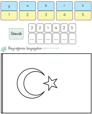 Bayrak Boyama