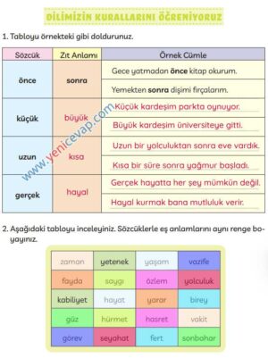 3. Sınıf Türkçe Kitabı Sayfa 246 247 248 Cevapları Meb