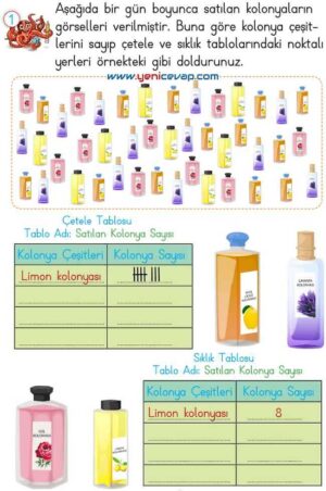 2. Sınıf Matematik Ders Kitabı Sayfa 257 258 263 265 Cevapları Meb