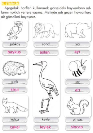 2. Sınıf Türkçe Kitabı Sayfa 289 290 291 296 Cevapları İlke Yayınları