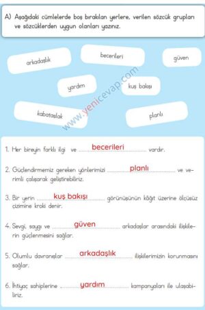 3. Sınıf Hayat Bilgisi Kitabı Sayfa 41 42 43 Cevapları Meb