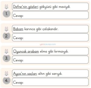 Belirleyelim Yazalım