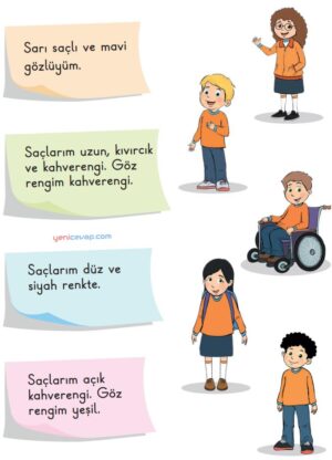 Fiziksel Özellikler