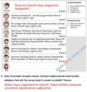 3. Sınıf Fen Bilimleri Kitabı Sayfa 41 44 45 47 48 Cevapları Meb
