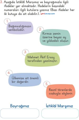 Tekrar Zamanı Testi