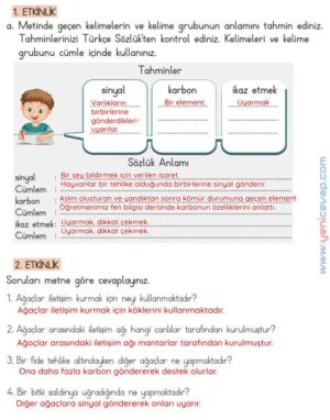 4. Sınıf Türkçe Kitabı Sayfa 138 140 141 143 Cevapları Meb