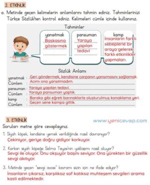 4. Sınıf Türkçe Kitabı Sayfa 75 78 80 81 Cevapları Meb