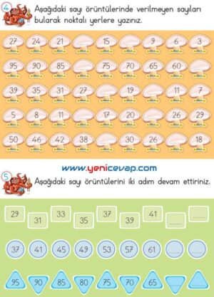 2. Sınıf Matematik Ders Kitabı Sayfa 50 53 54 55 Cevapları Meb