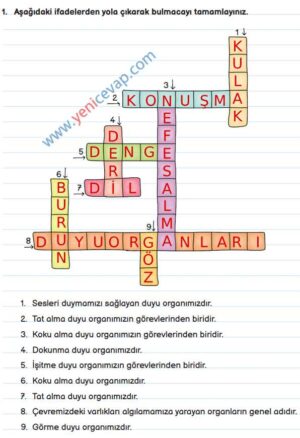 3. Sınıf Fen Bilimleri Kitabı Sayfa 52 53 54 55 Cevapları Meb