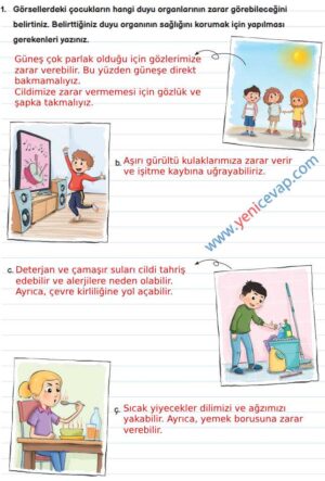 3. Sınıf Fen Bilimleri Kitabı Sayfa 57 59 60 61 Cevapları Meb