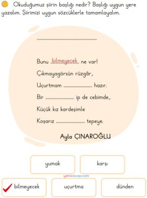Seçelim Yazalım