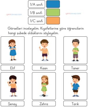Sınıflandıralım