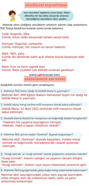 3. Sınıf Türkçe Kitabı Sayfa 71 72 73 74 Cevapları Meb