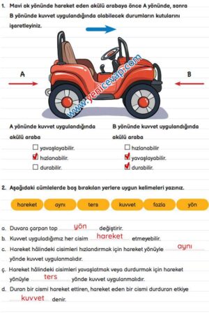 3. Sınıf Fen Bilimleri Kitabı Sayfa 77 79 80 84 Cevapları Meb