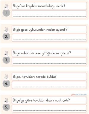 Cevaplayalım Yazalım
