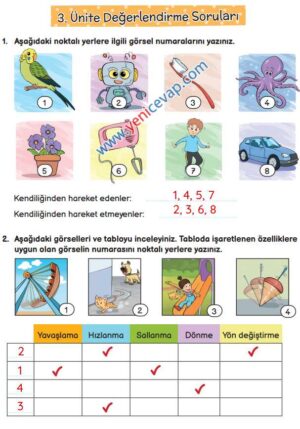 3. Sınıf Fen Bilimleri Kitabı Sayfa 85 86 87 88 Cevapları Meb