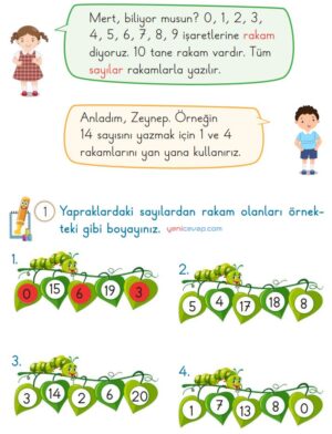 Rakam Bul