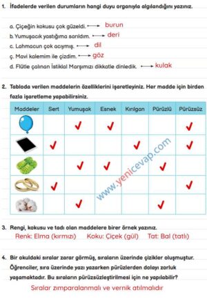 3. Sınıf Fen Bilimleri Kitabı Sayfa 99 100 104 105 Cevapları Meb