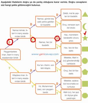 4. Sınıf Din Kültürü Kitabı Sayfa 43 45 46 49 Cevapları Meb