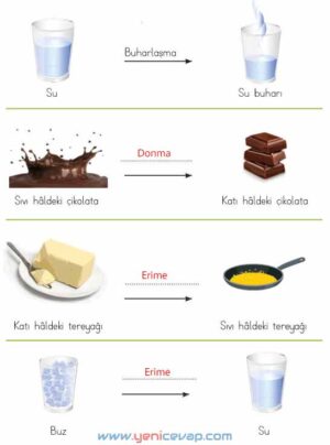 4. Sınıf Fen Bilimleri Kitabı Sayfa 115 116 117 120 Cevapları Meb