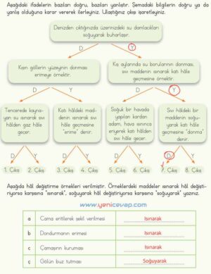 4. Sınıf Fen Bilimleri Kitabı Sayfa 121 122 123 125 Cevapları Meb