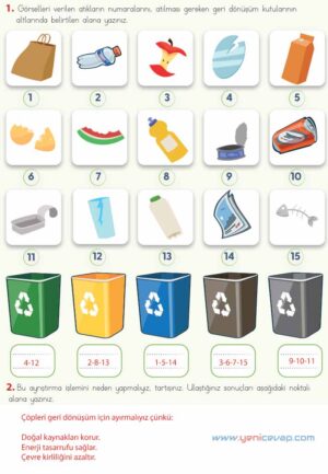 4. Sınıf Fen Bilimleri Kitabı Sayfa 126 127 128 129 Cevapları Meb