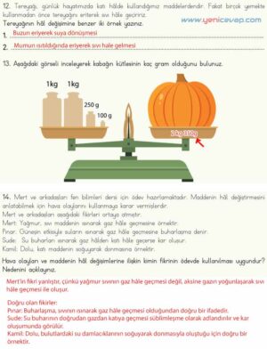 4. Sınıf Fen Bilimleri Kitabı Sayfa 134 135 136 137 Cevapları Meb