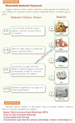 4. Sınıf Fen Bilimleri Kitabı Sayfa 22 25 27 29 Cevapları Meb
