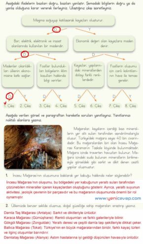4. Sınıf Fen Bilimleri Kitabı Sayfa 29 31 32 33 Cevapları Meb