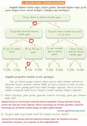 4. Sınıf Fen Bilimleri Kitabı Sayfa 35 36 37 38 39 Cevapları Meb