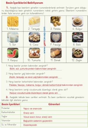 4. Sınıf Fen Bilimleri Kitabı Sayfa 51 52 54 57 Cevapları Meb