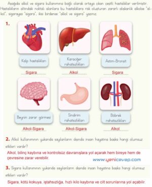 4. Sınıf Fen Bilimleri Kitabı Sayfa 58 61 62 65 Cevapları Meb