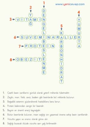 4. Sınıf Fen Bilimleri Kitabı Sayfa 66 67 68 Cevapları Meb