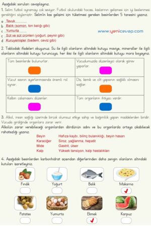 4. Sınıf Fen Bilimleri Kitabı Sayfa 69 70 71 Cevapları Meb