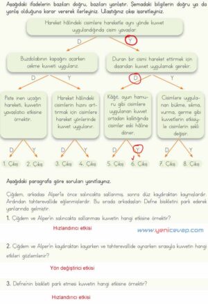 4. Sınıf Fen Bilimleri Kitabı Sayfa 79 81 83 84 Cevapları Meb