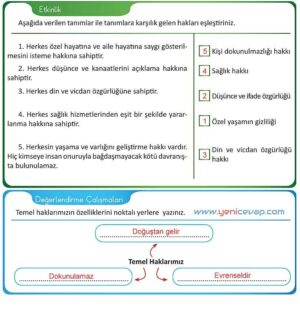 4. Sınıf İnsan Hakları Kitabı Sayfa 12 13 14 15 Cevapları Meb