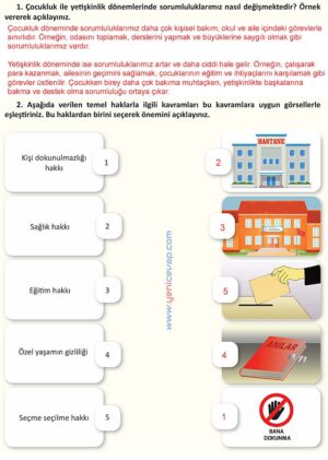 4. Sınıf İnsan Hakları Kitabı Sayfa 20 21 22 23 Cevapları Meb