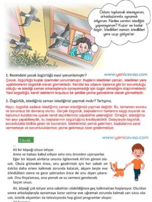 4. Sınıf İnsan Hakları Kitabı Sayfa 26 27 Cevapları Meb