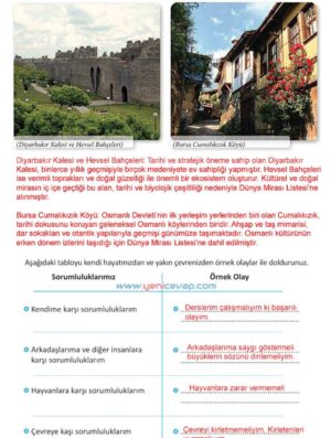 4. Sınıf İnsan Hakları Kitabı Sayfa 28 29 30 31 Cevapları Meb