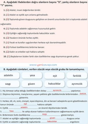 4. Sınıf İnsan Hakları Kitabı Sayfa 55 56 57 58 59 Cevapları Meb