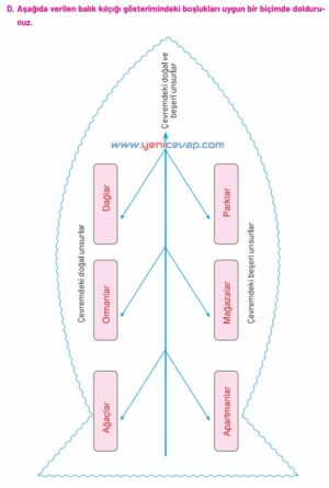 4. Sınıf Sosyal Bilgiler Kitabı Sayfa 98 100 103 104 105 Cevapları Hecce Yayınları