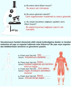 5. Sınıf Fen Bilimleri 1. Kitap Sayfa 102 103 104 105 106 110 111 Cevapları Meb