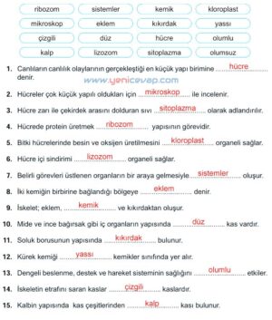 5. Sınıf Fen Bilimleri 1. Kitap Sayfa 139 140 141 142 Cevapları Meb